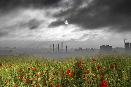 Destruction by Ata Alishahi art print