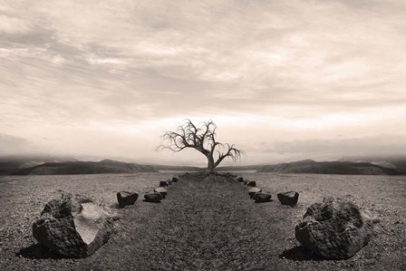 Dry Land 2 by Ata Alishahi art print