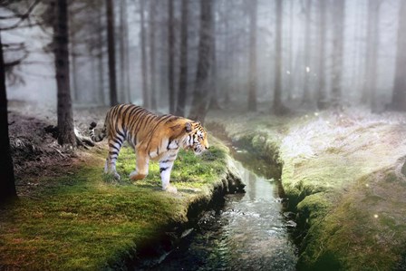 Forest King 2 by Ata Alishahi art print