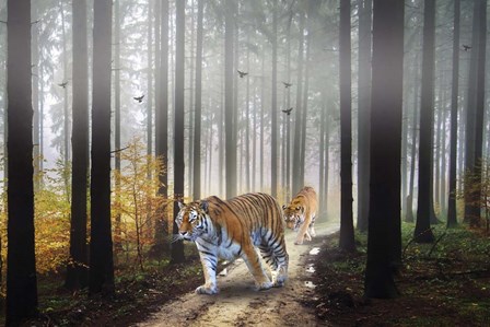 Forest King by Ata Alishahi art print