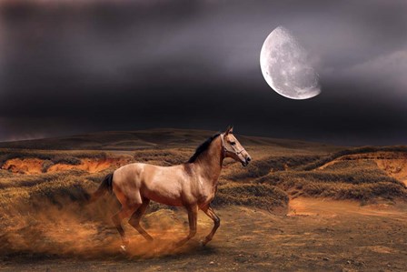 Nature S20 by Ata Alishahi art print