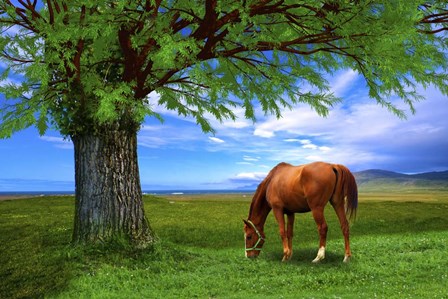 Nature S21 by Ata Alishahi art print