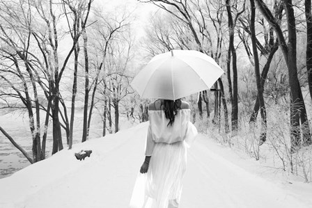 One Winter Day 2 by Ata Alishahi art print