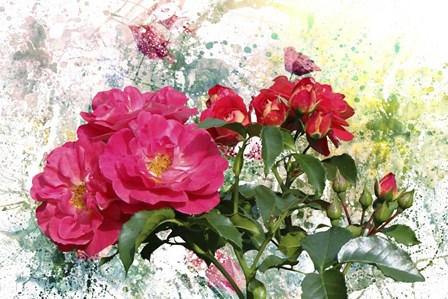 Roses Are Beautiful by Ata Alishahi art print
