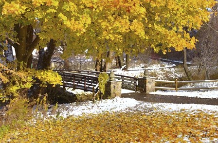Autumn Snow by 5fishcreative art print