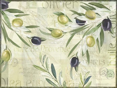 Olives de Provence by Cora Niele art print