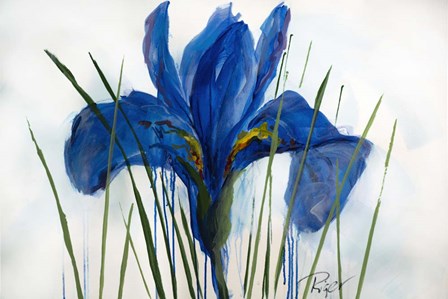 Iris Sings the Blues by Sue Riger art print