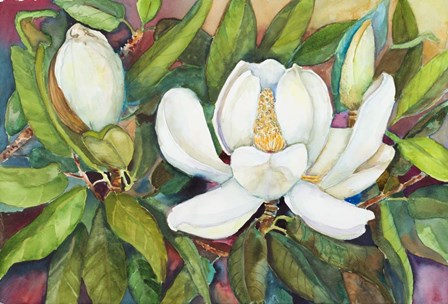 Magnolias in their Prime by Joanne Porter art print