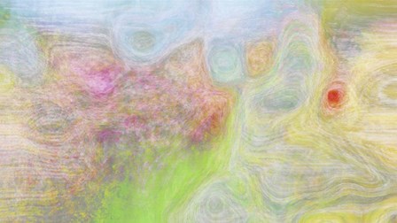 Yarrow by Henry Hu art print