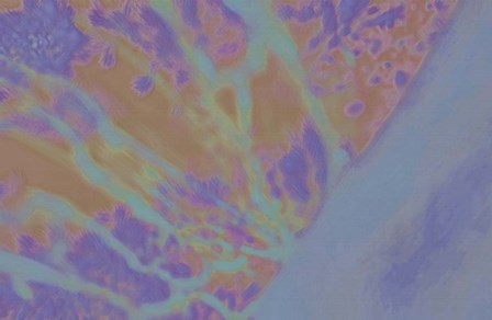 Evening Soak by Henry Hu art print