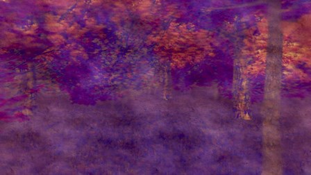 Two Years Max by Henry Hu art print