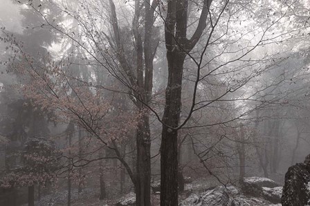 Always Together In Joy And Sorrow by Jenny Rainbow Fine Art art print