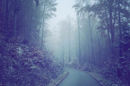 Blue Woods Misty Way by Jenny Rainbow Fine Art art print