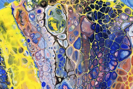 Fluid Acrylic Colorful Night Dreams 1 by Jenny Rainbow Fine Art art print