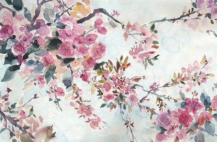 Cherry Blossoms Morning by Marietta Cohen art print