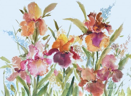 Loose Irises by Marietta Cohen art print