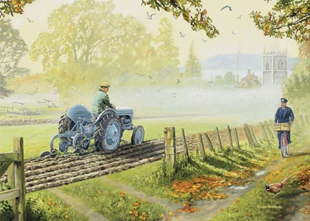 Early Birds by Trevor Mitchell art print