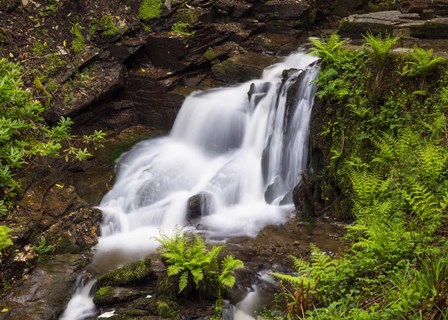 Nectan&#39;s Waterfall by Michael Blanchette Photography art print